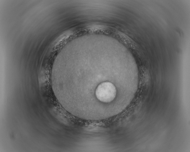 X0000112020824200909141034