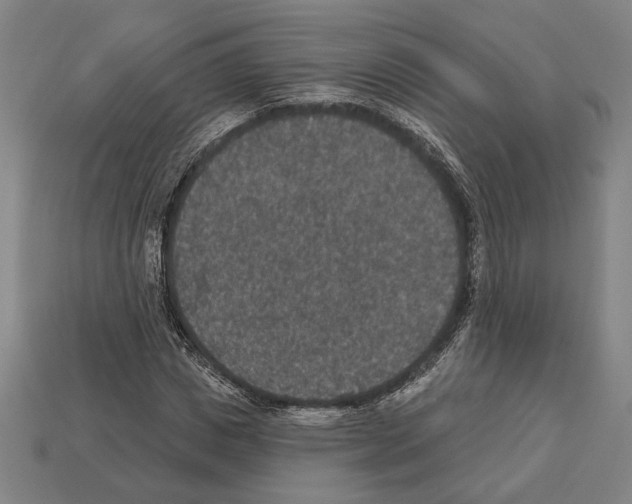 X0000112020825200909141034