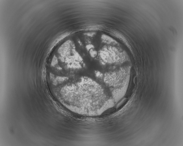 X0000112020827200909141034