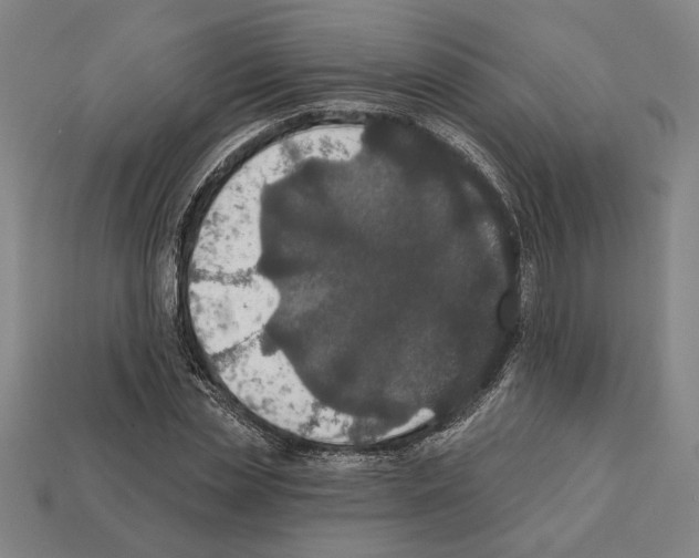 X0000112020829200909141034