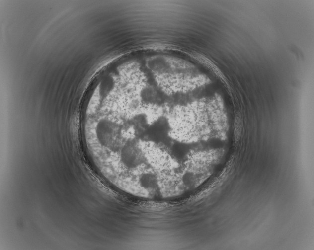 X0000112020831200909141034