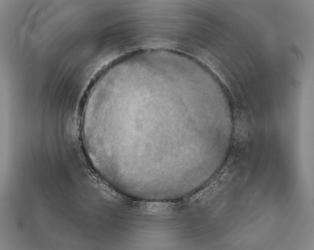 X0000112020832200909141034