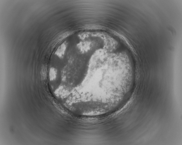 X0000112020833200909141034