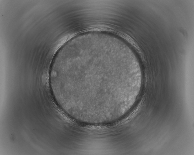 X0000112020834200909141034