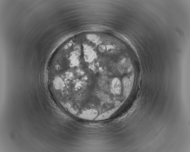 X0000112020835200909141034