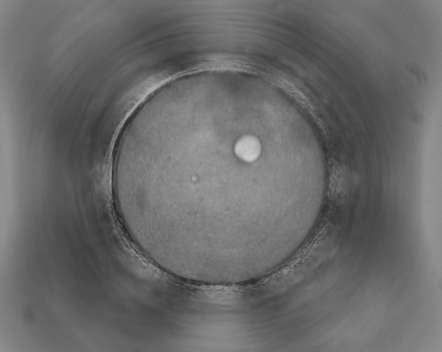 X0000112020836200909141034