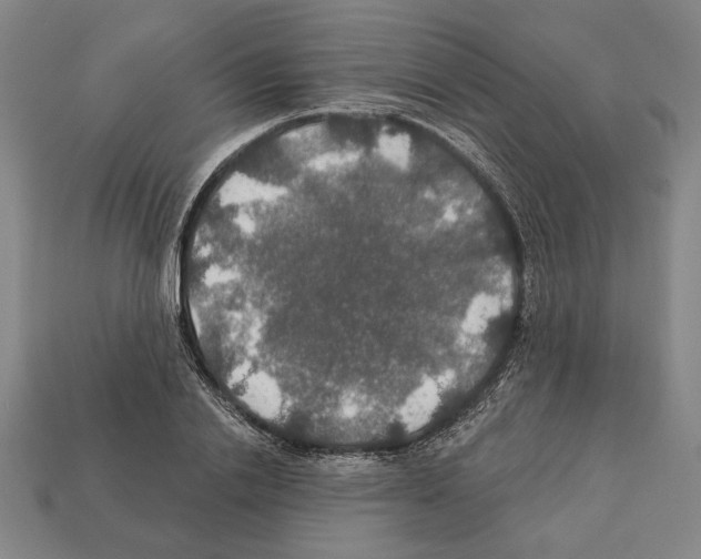 X0000112020838200909141034