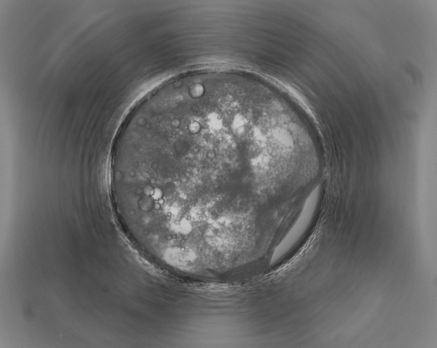 X0000112020839200909141034