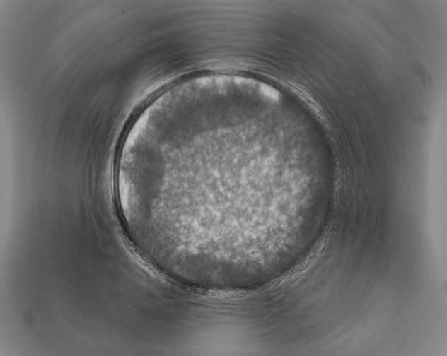 X0000112020840200909141034