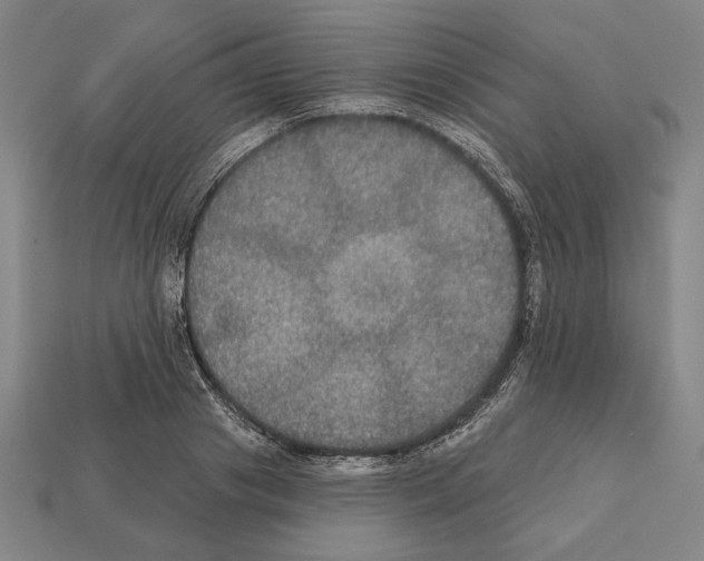 X0000112020841200909141034