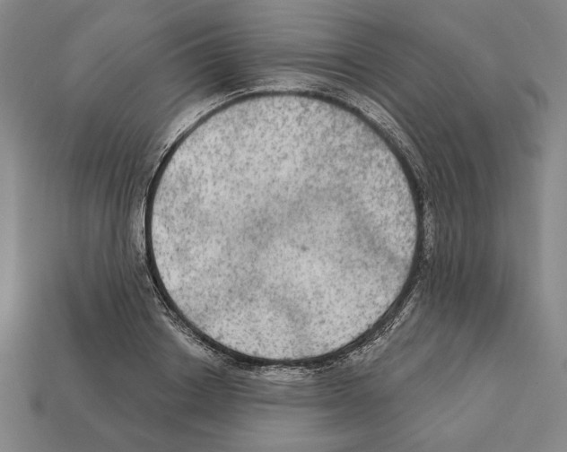 X0000112020842200909141034