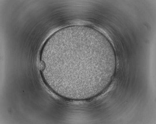 X0000112020843200909141034