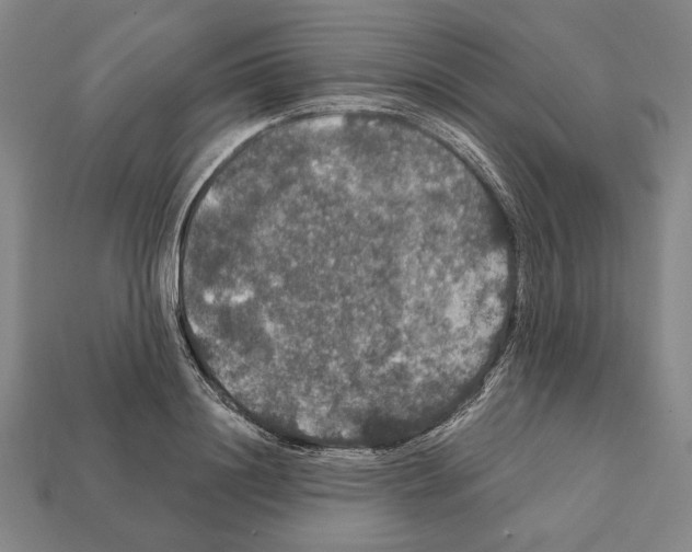 X0000112020844200909141034