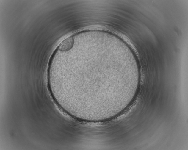 X0000112020845200909141034