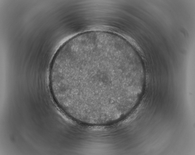 X0000112020846200909141034