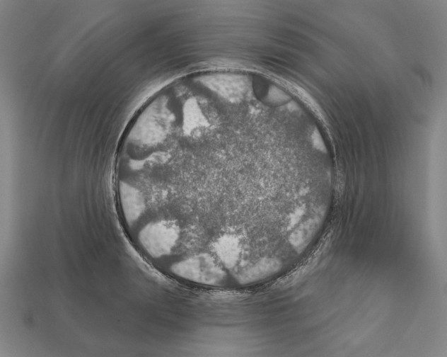 X0000112020847200909141034