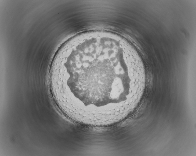 X0000112020848200909141034