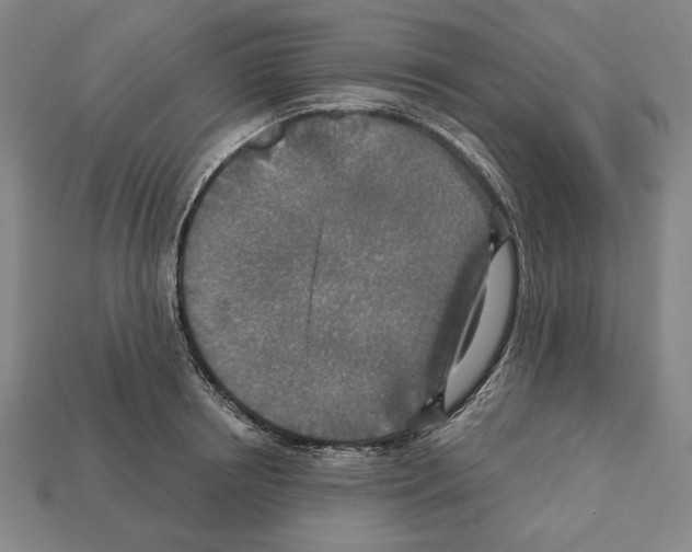 X0000112020850200909141034