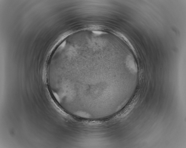 X0000112020851200909141034