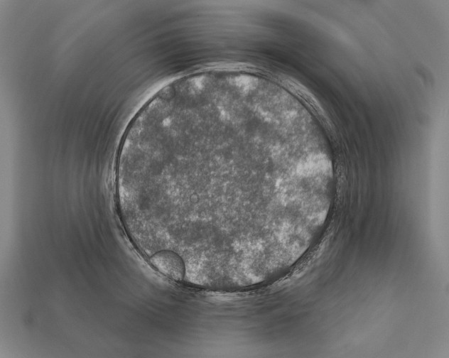 X0000112020852200909141034