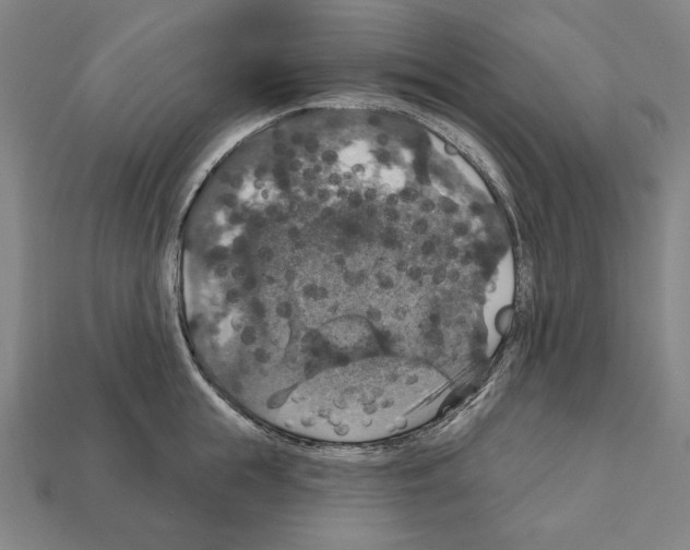 X0000112020855200909141034