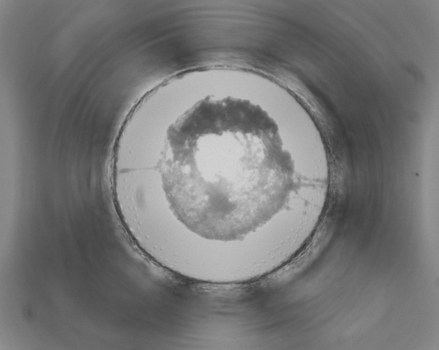 X0000112020856200909141034