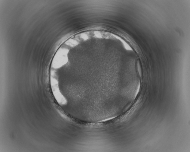 X0000112020858200909141034