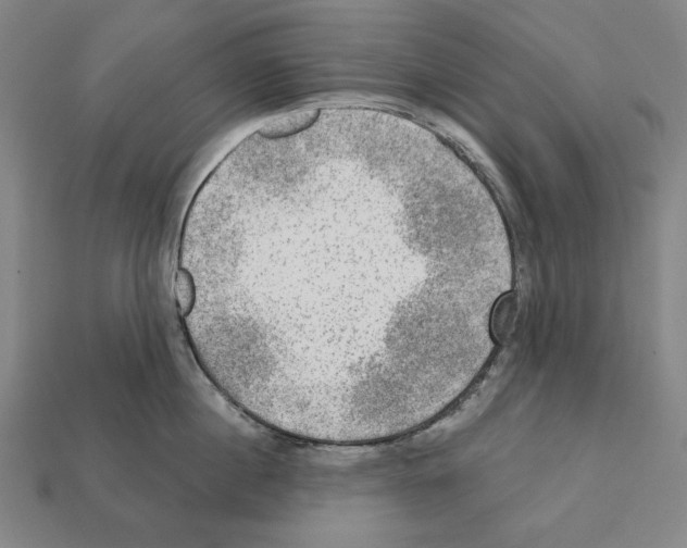 X0000112020860200909141034