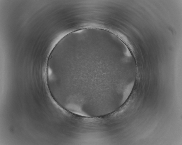 X0000112020863200909141034