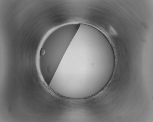 X0000112020864200909141034