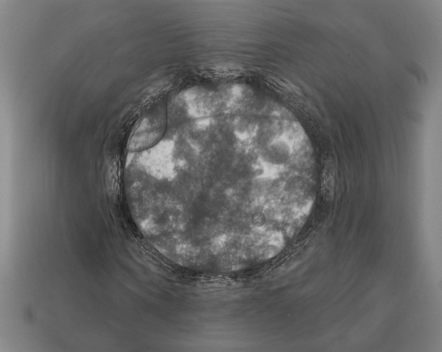 X0000112020866200909141034