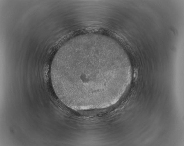 X0000112020867200909141034