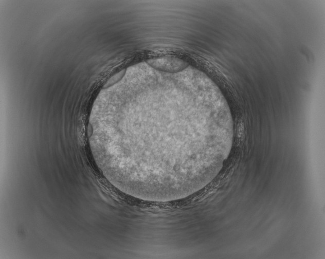 X0000112020868200909141034