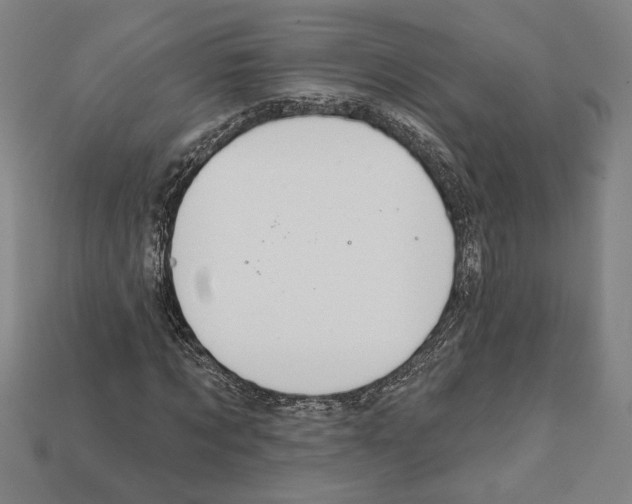 X0000112020869200909141034