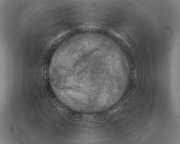 X0000112020870200909141034