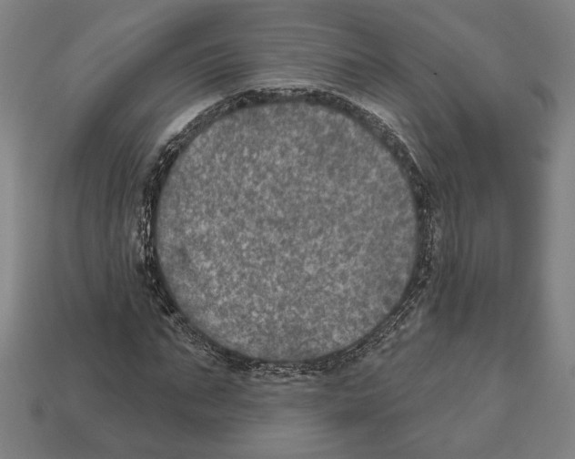 X0000112020871200909141034