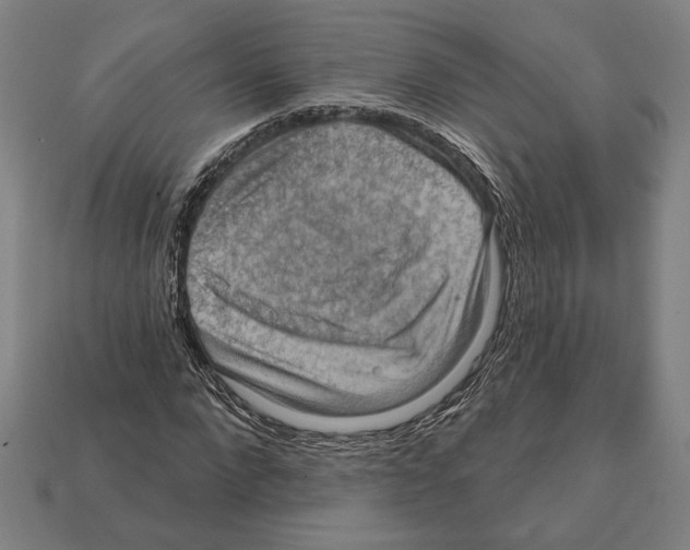 X0000112020872200909141034