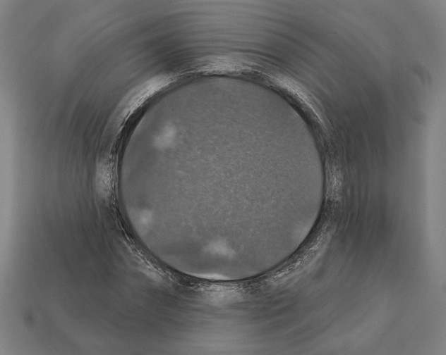 X0000112020874200909141034