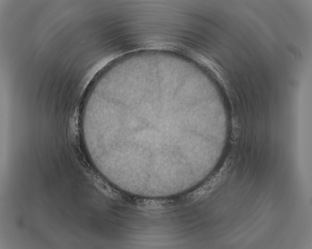 X0000112020875200909141034