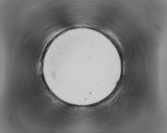 X0000112020876200909141034