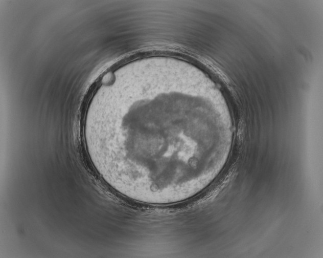 X0000112020877200909141034