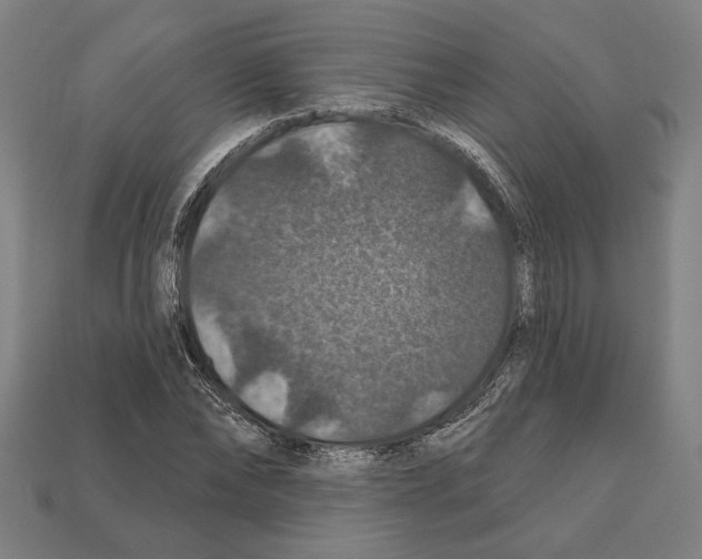 X0000112020878200909141034