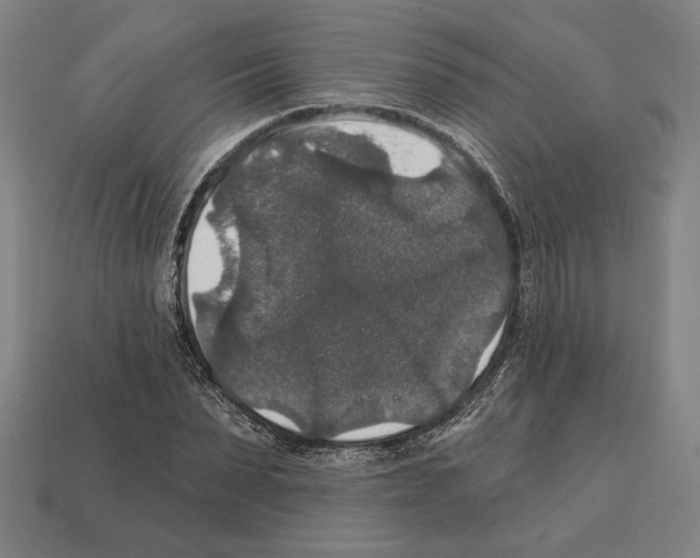 X0000112020879200909141034