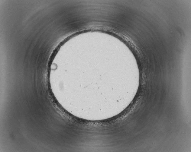 X0000112020880200909141034