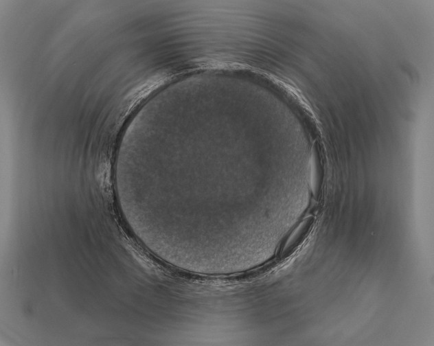 X0000112020881200909141034