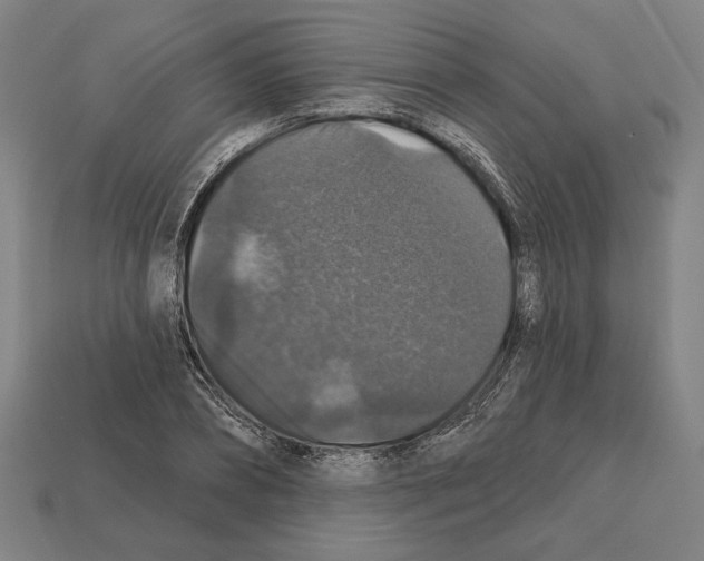 X0000112020882200909141033