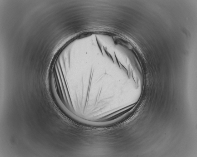 X0000112020885200909141033