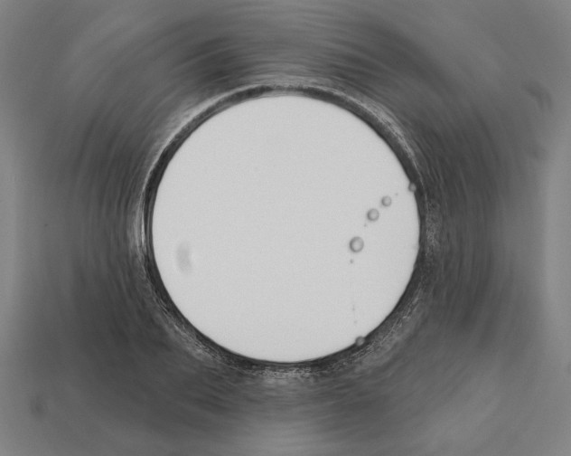 X0000112020887200909141033