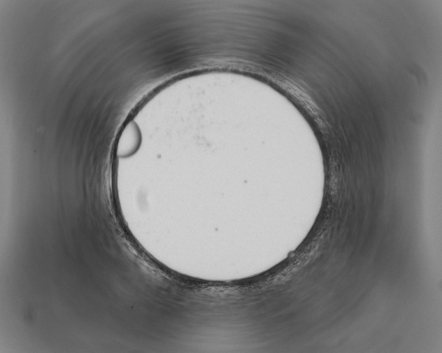 X0000112020888200909141033