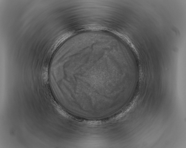 X0000112020889200909141033